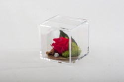 scatola plex con rose stabilizzata rossa