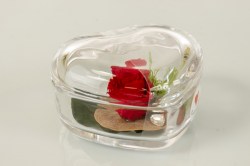 scatola cuore in vetro con rosa stabilizzata rossa